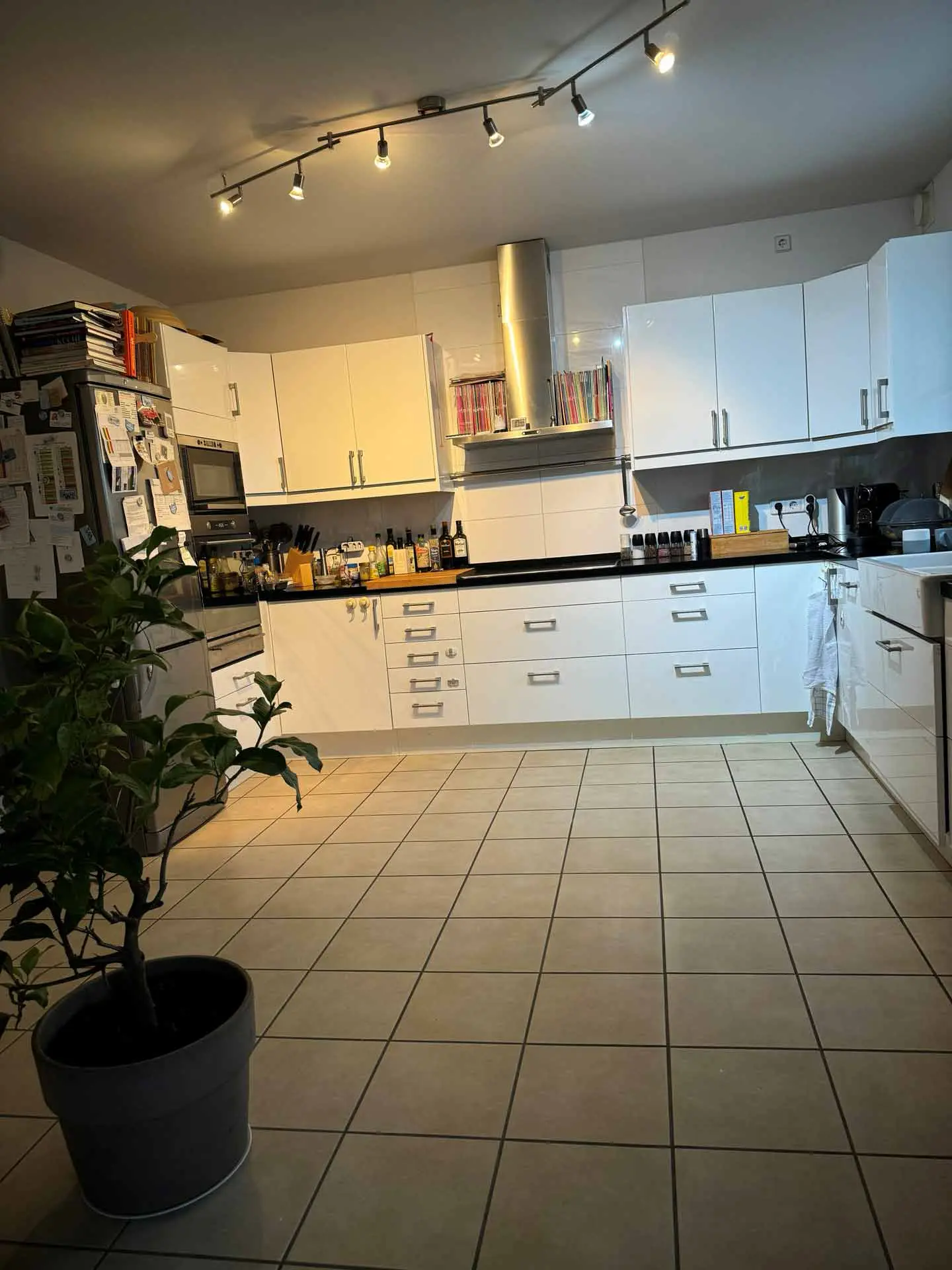 Exklusives Einfamilienhaus an den Herzogsbergen von Cremlingen-4