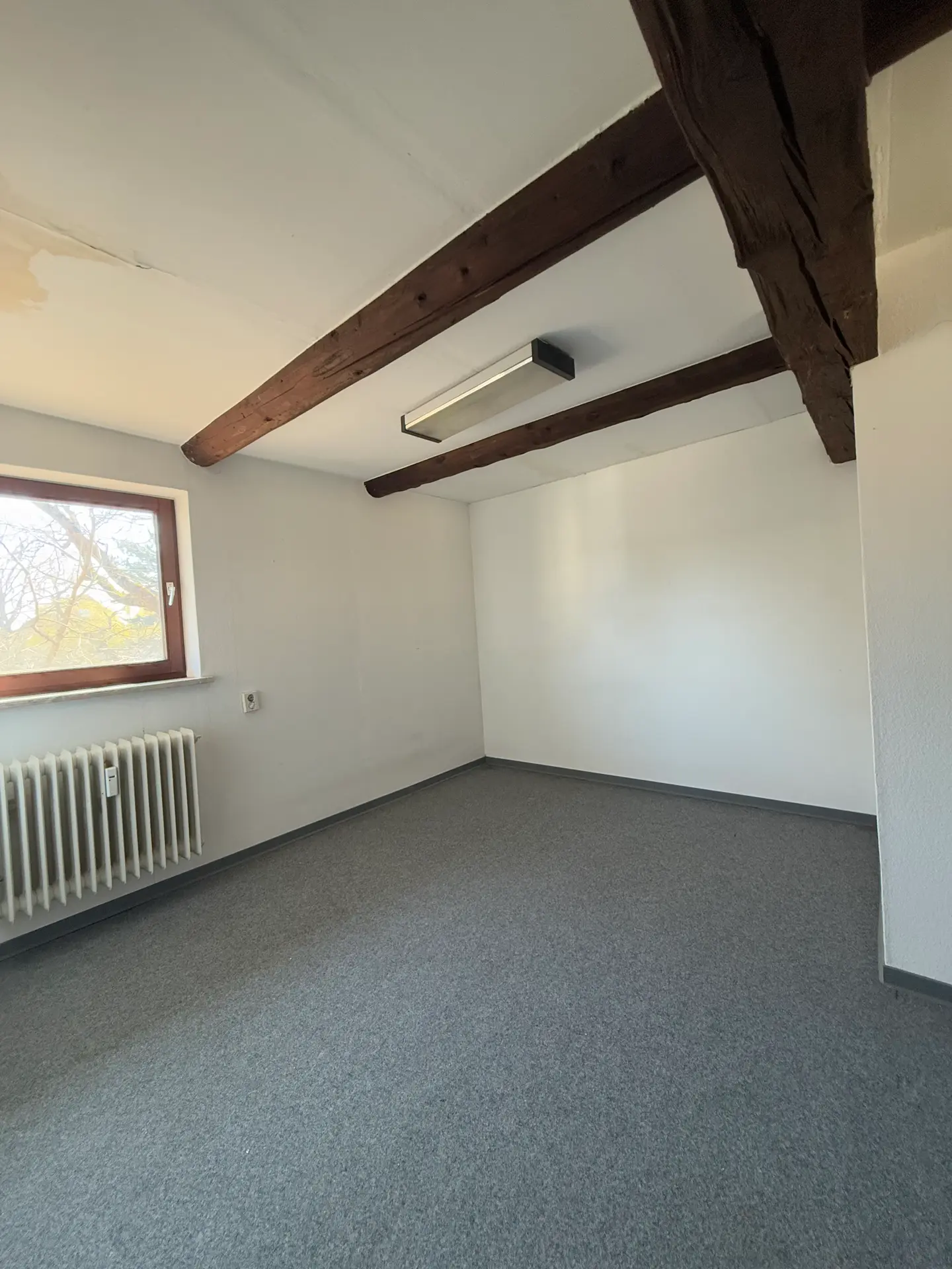 Gewerbeimmobilie im Ortskern von Cremlingen-5