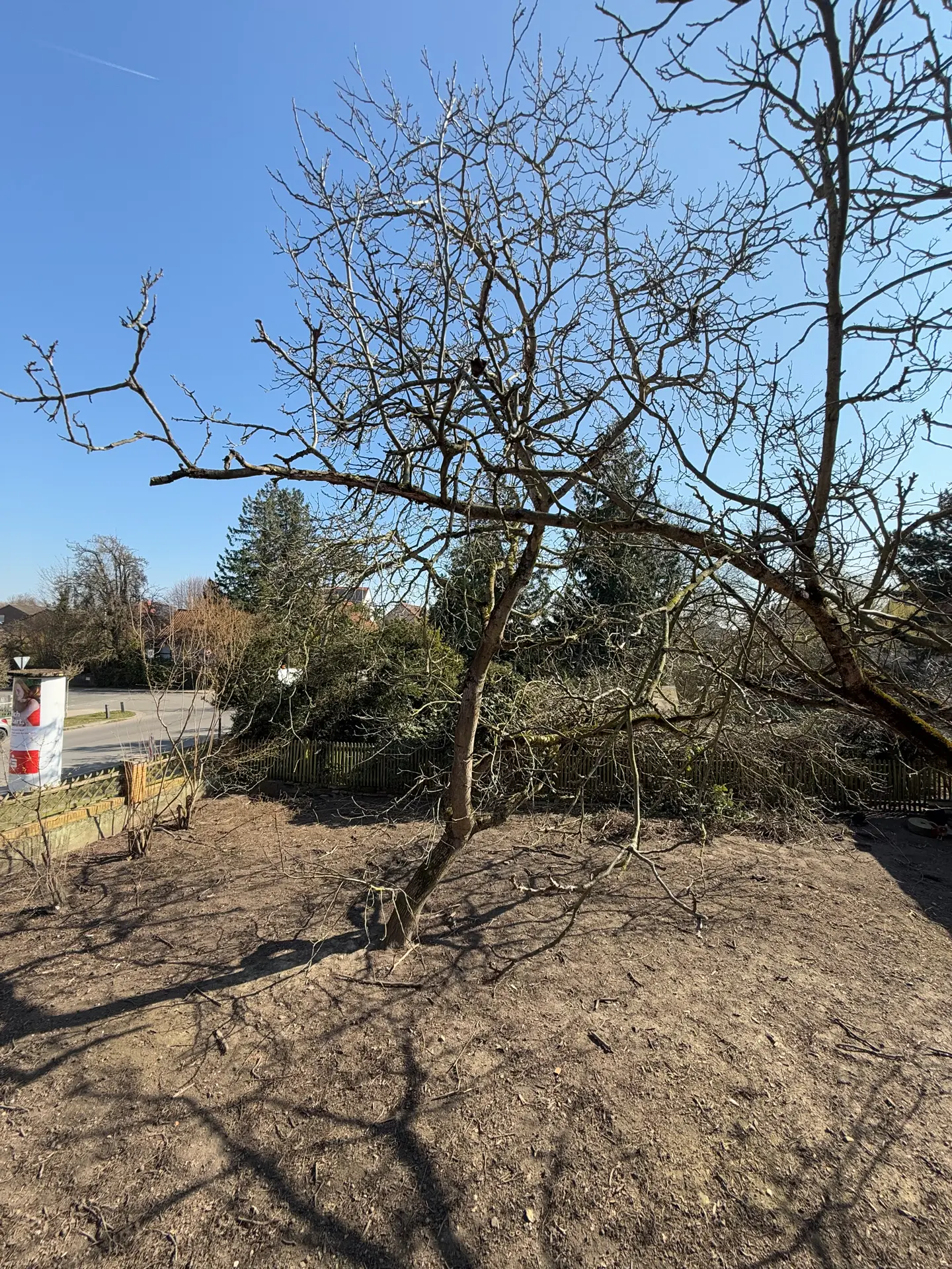 Gewerbeimmobilie im Ortskern von Cremlingen-3
