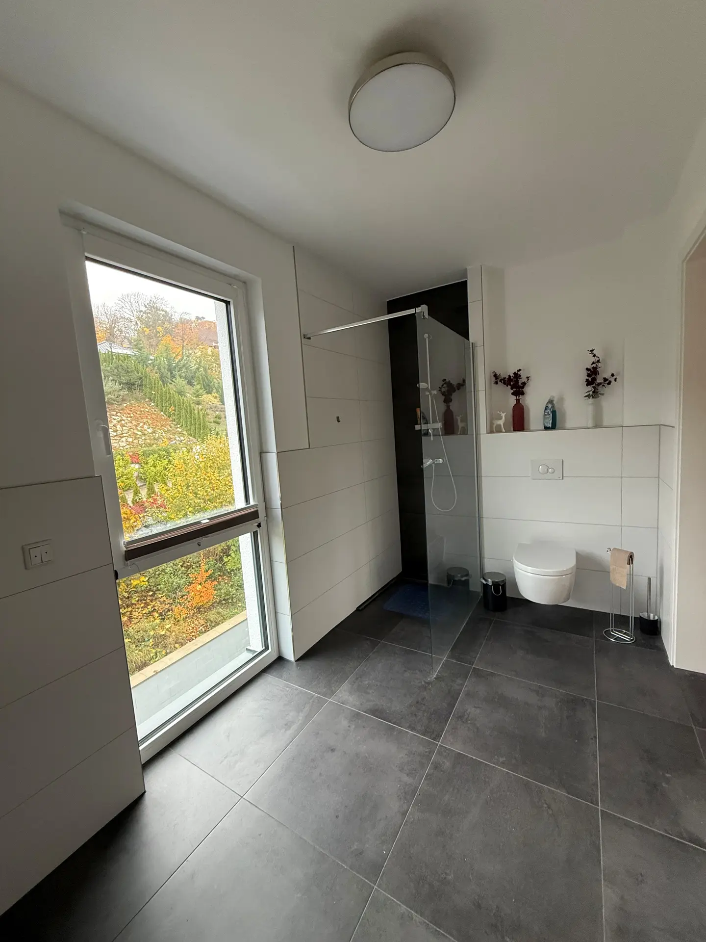 Pentousewohnung in Hanglage von Bad Harzburg-4